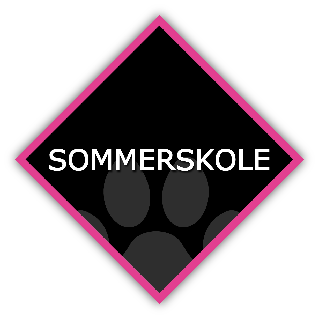 Hjemmeside - Sommerskole.png